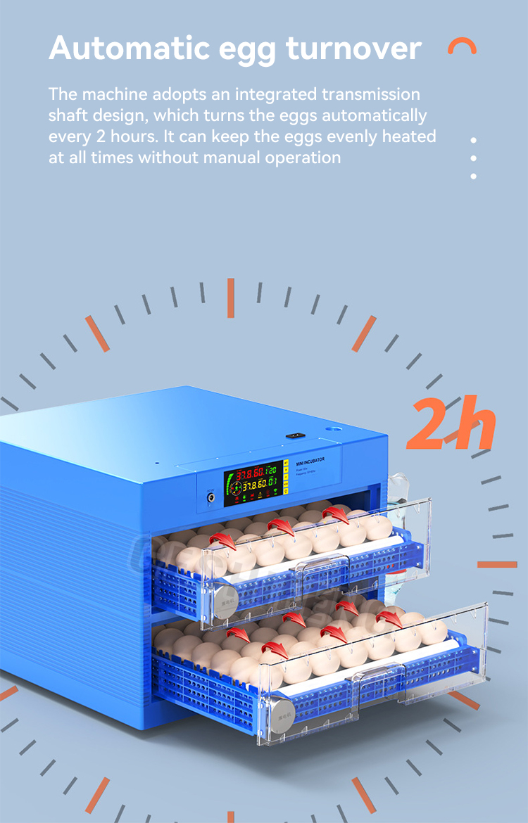Egg Incubators(孵蛋器)