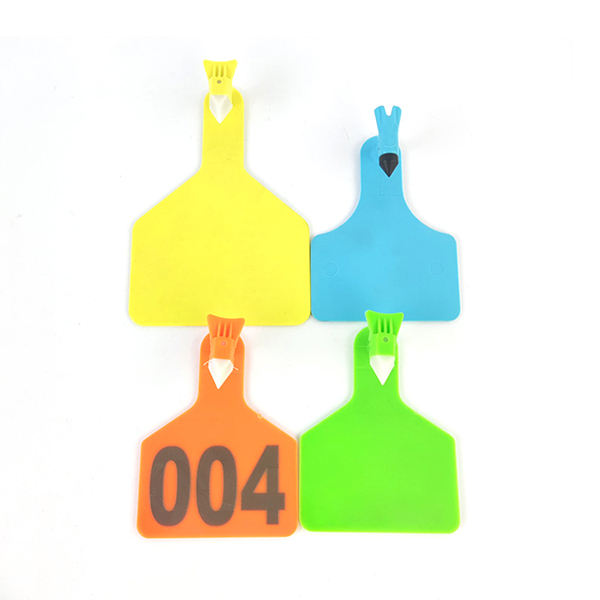 Product 5