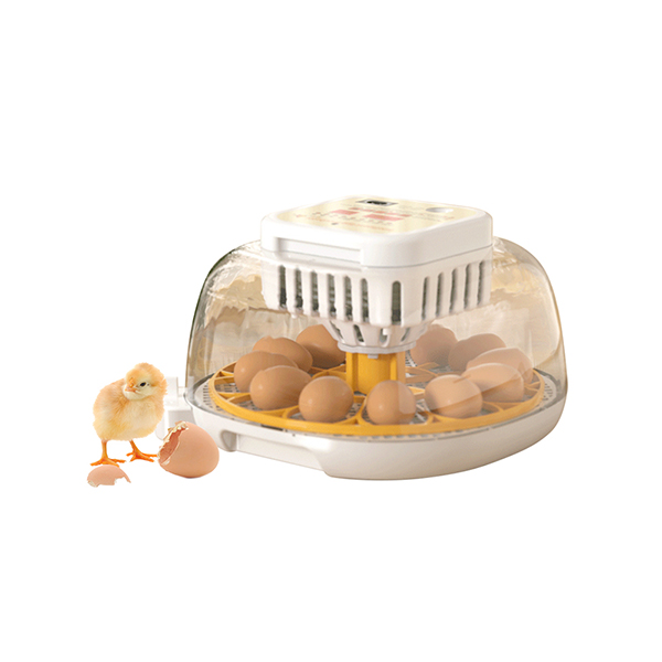 Product 5