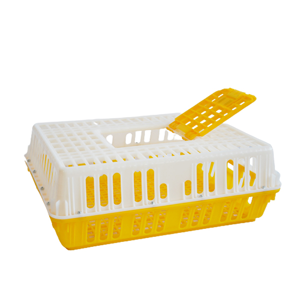 Product 5