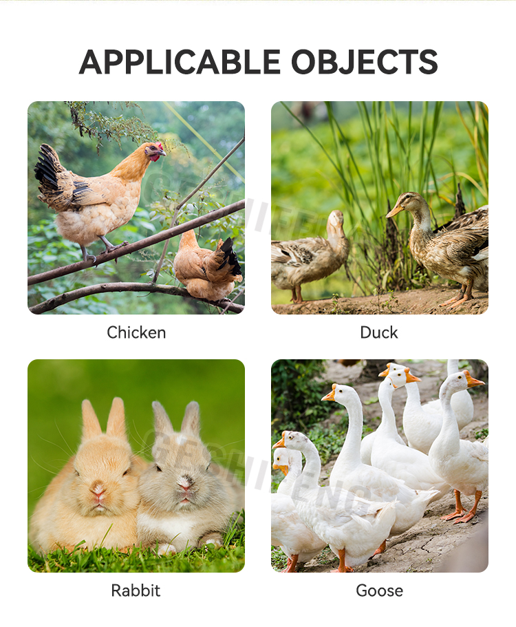 Outdoor chicken cage(鸡笼)