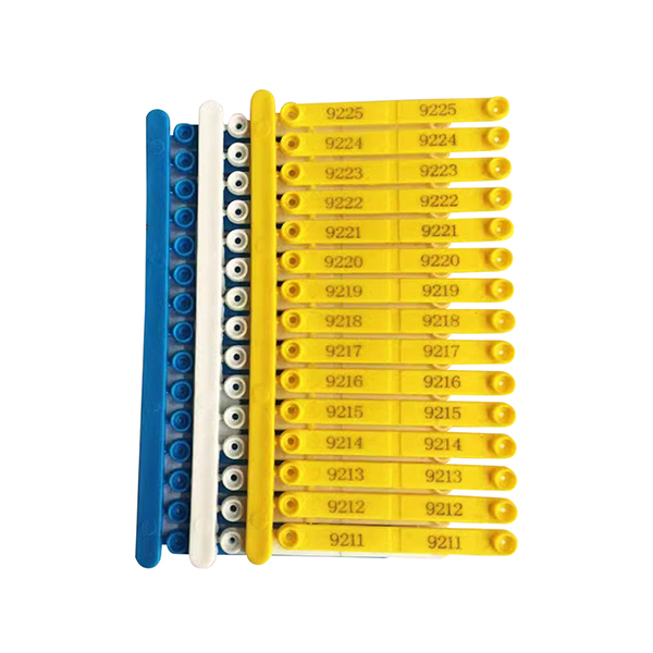 Product 5