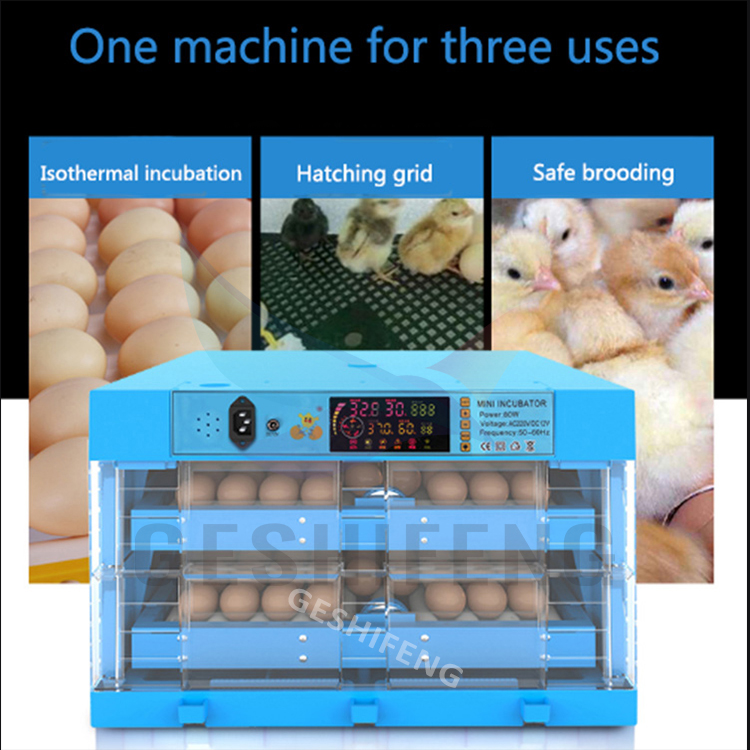 Egg Incubators(孵蛋器)