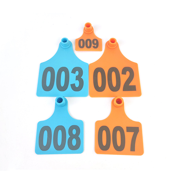 Product 5