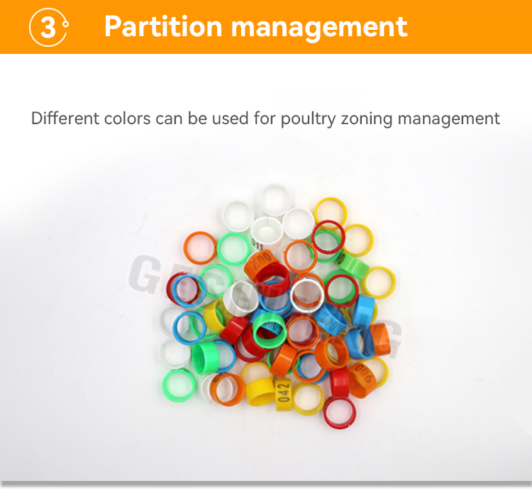 Plastic chicken ring(切片式鸡脚环)