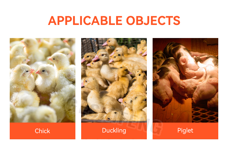 Poultry breeding heater(家禽养殖加热器

 自动点火）