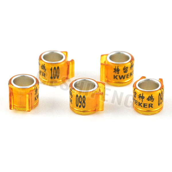 Combination Ring(荷兰环）