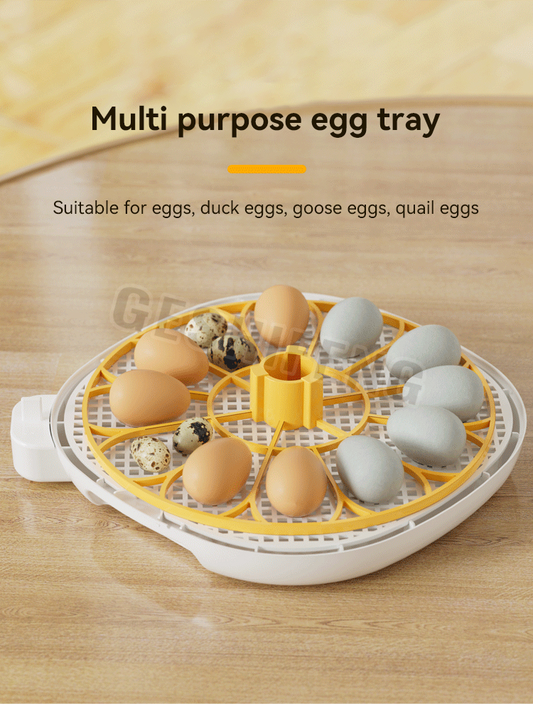 Egg Incubator(孵蛋器)