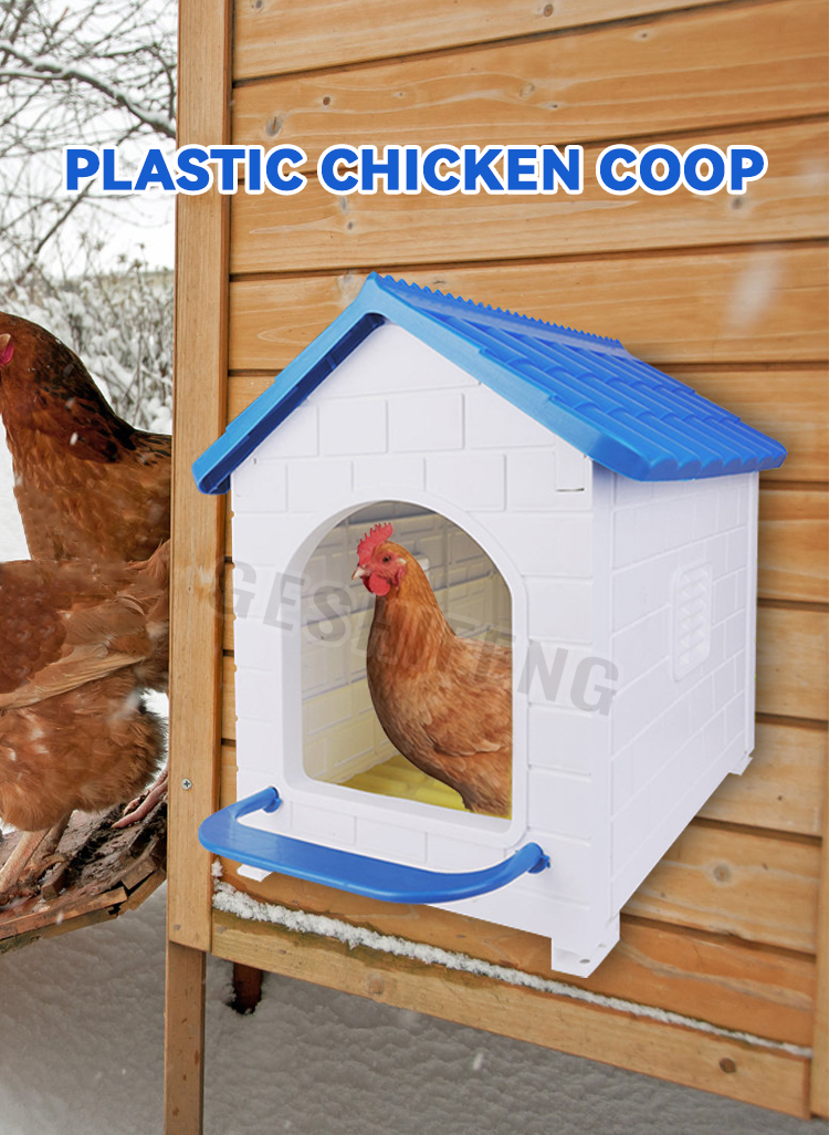 Plastic egg box(塑料鸡窝)