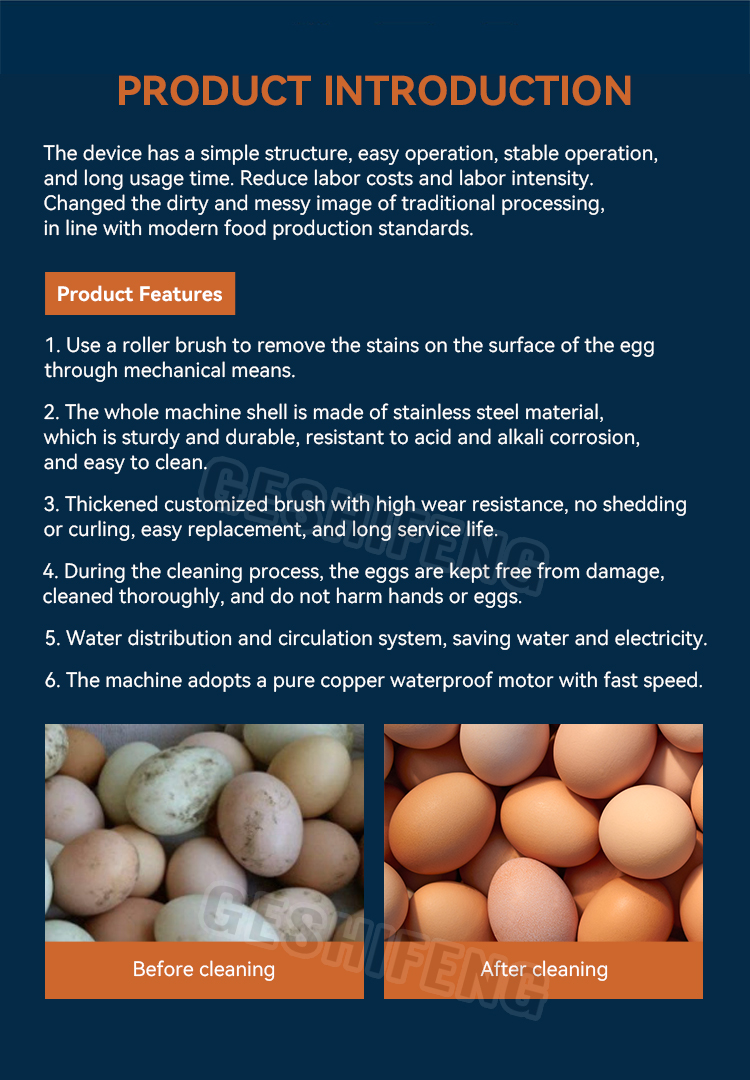 Automatic egg washing machine(鸡蛋清洗机)