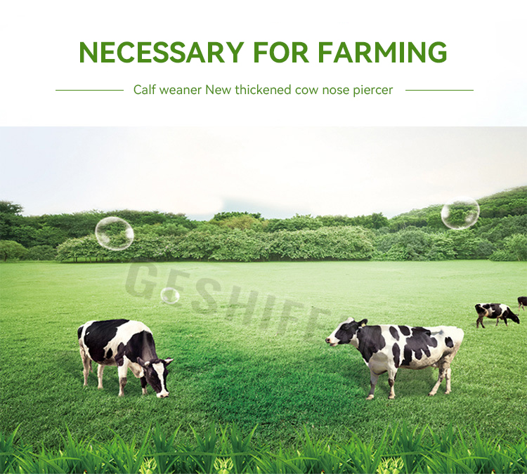 Weaned calf nose clip(小牛断奶器)