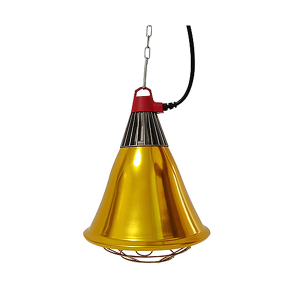 Product 5
