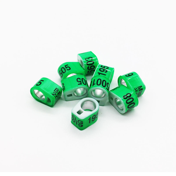 Combination Ring(比利时环)