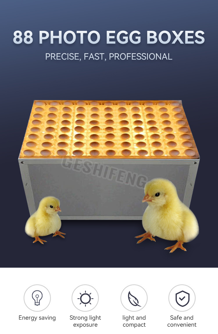 Egg Illuminator(照蛋箱) 