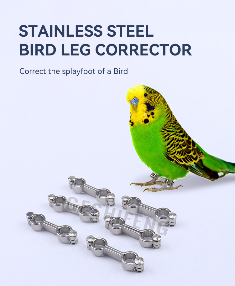 Stainless Steel Parrot corrector(不锈钢鹦鹉矫正环)