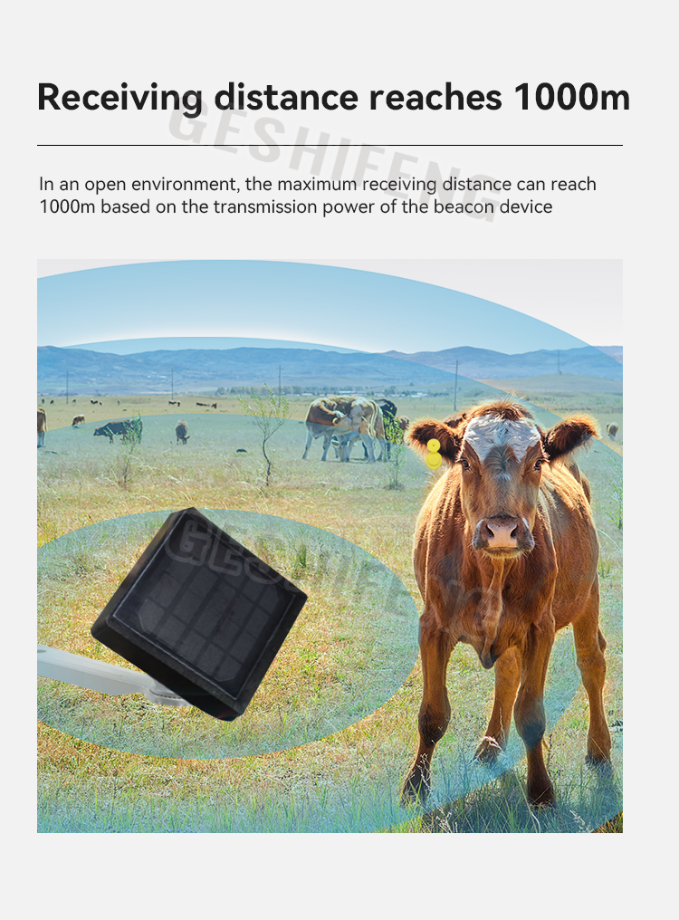 Bluetooth Gateway 2G(蓝牙网关)