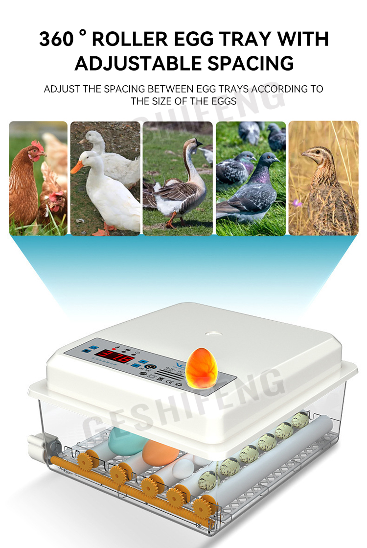 Egg Incubator(孵蛋器)