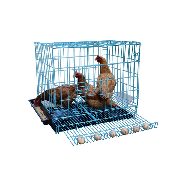 Product 5