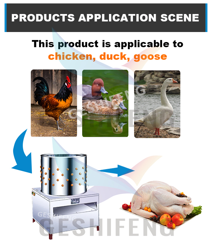 Poultry hair removal machine(脱毛机)