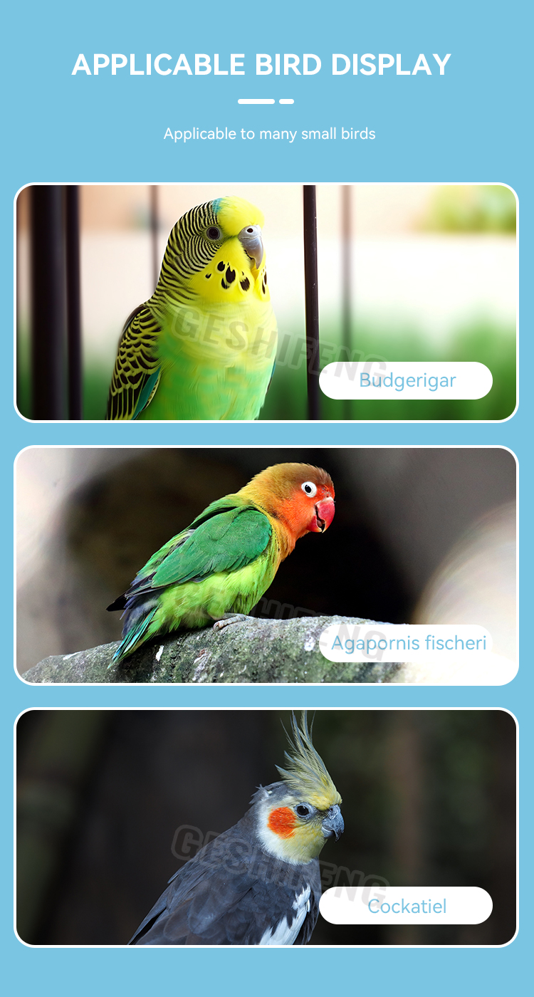 [NEW]Parrot corrector