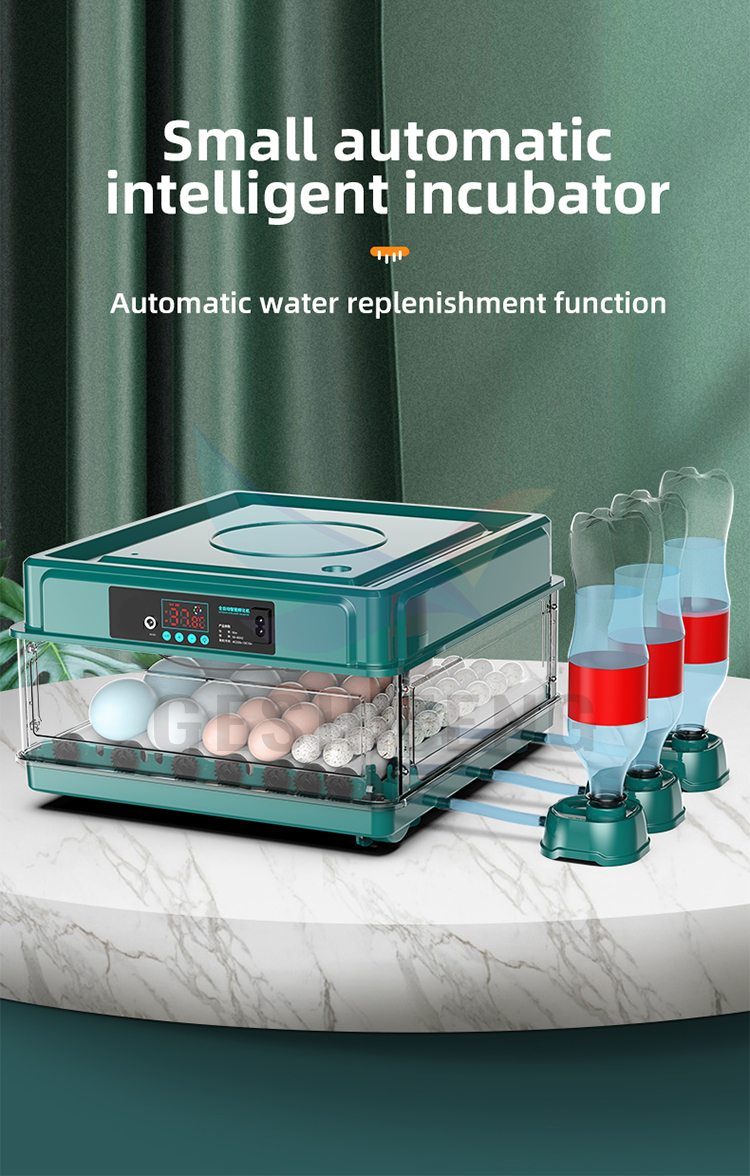 Egg Incubator(孵蛋器)
