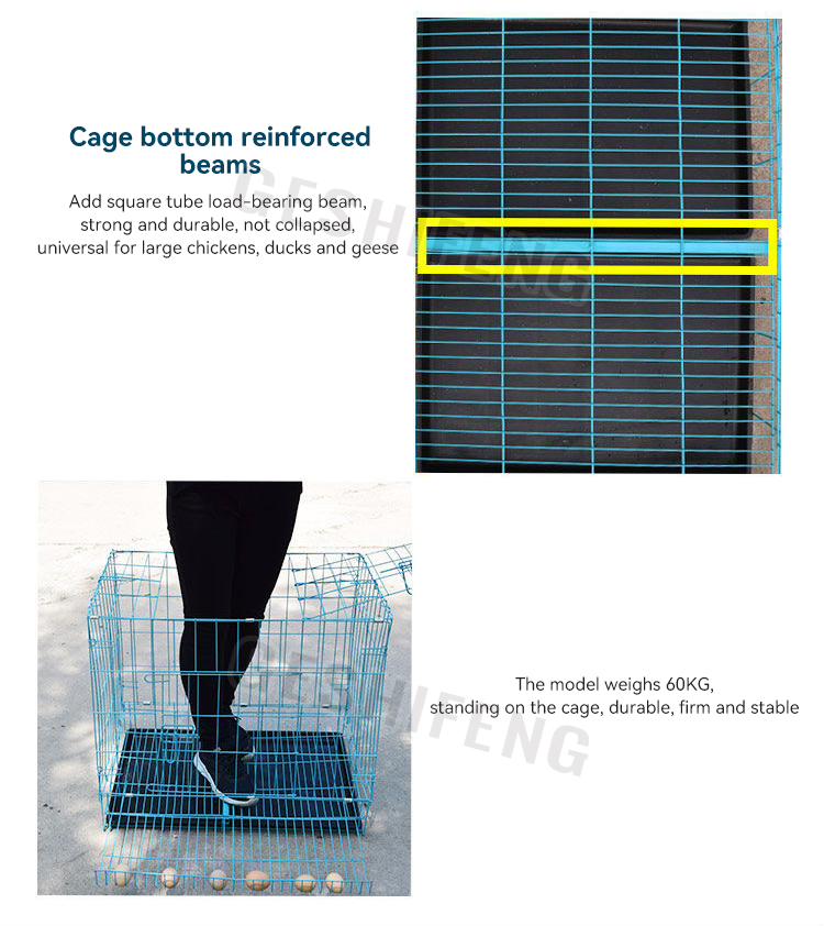 Egg tray cage(折叠鸡笼)