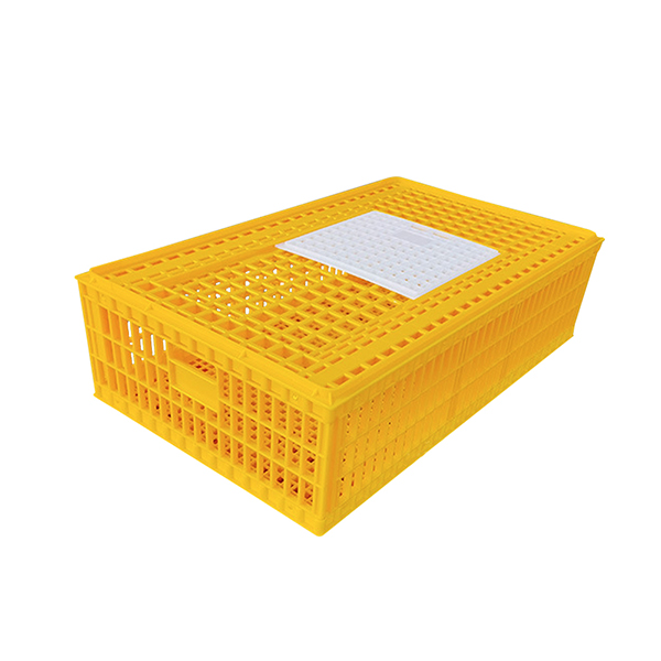Product 5