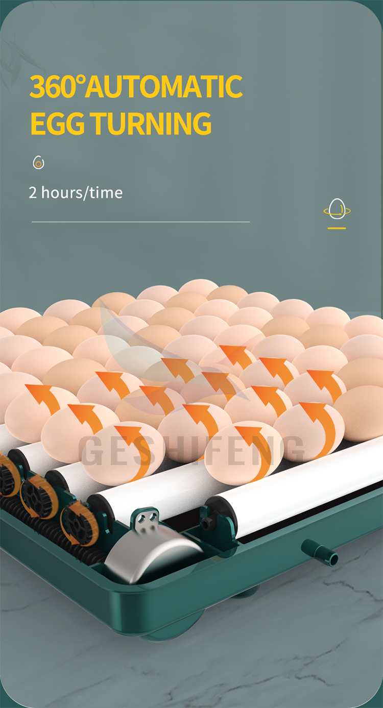 Egg Incubator(孵蛋器)