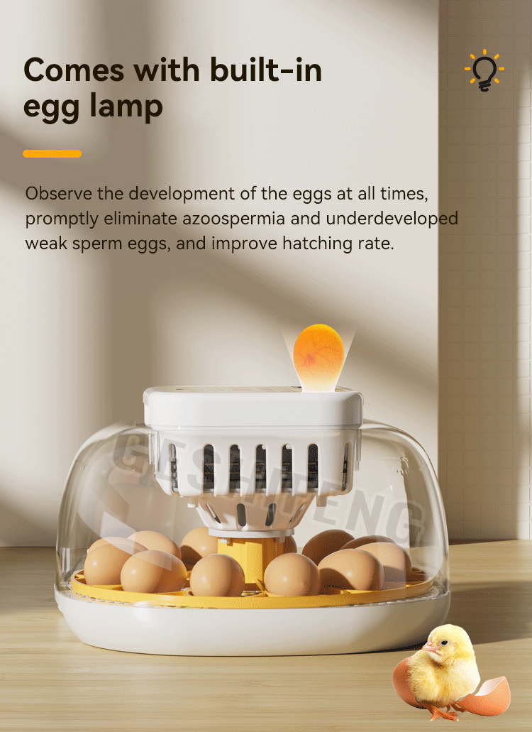 Egg Incubator(孵蛋器)
