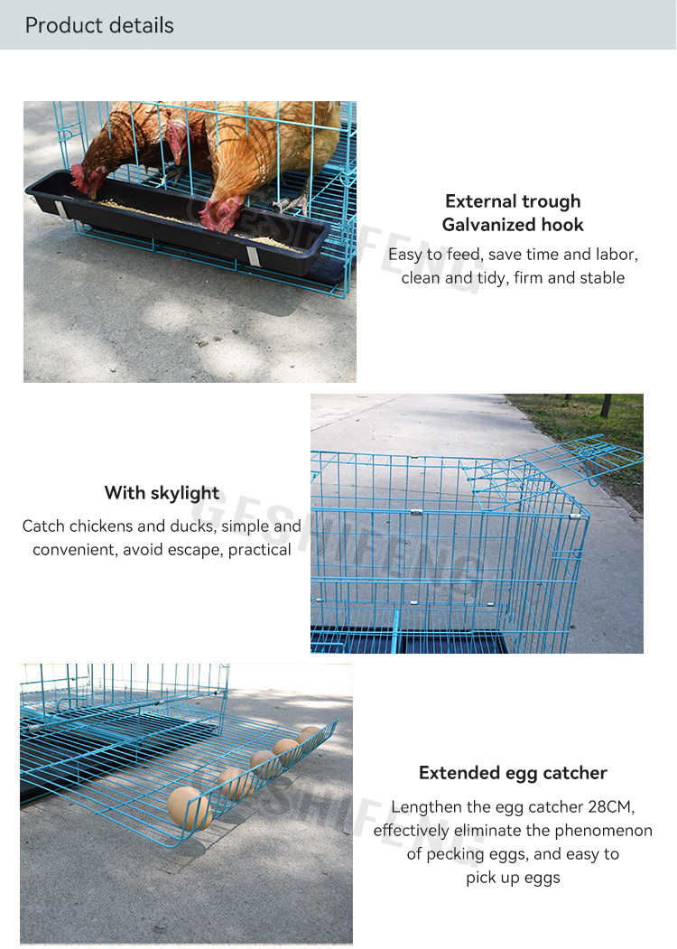 Egg tray cage(折叠鸡笼)