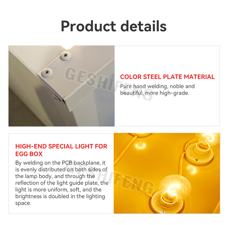 Egg Illuminator(照蛋箱) 