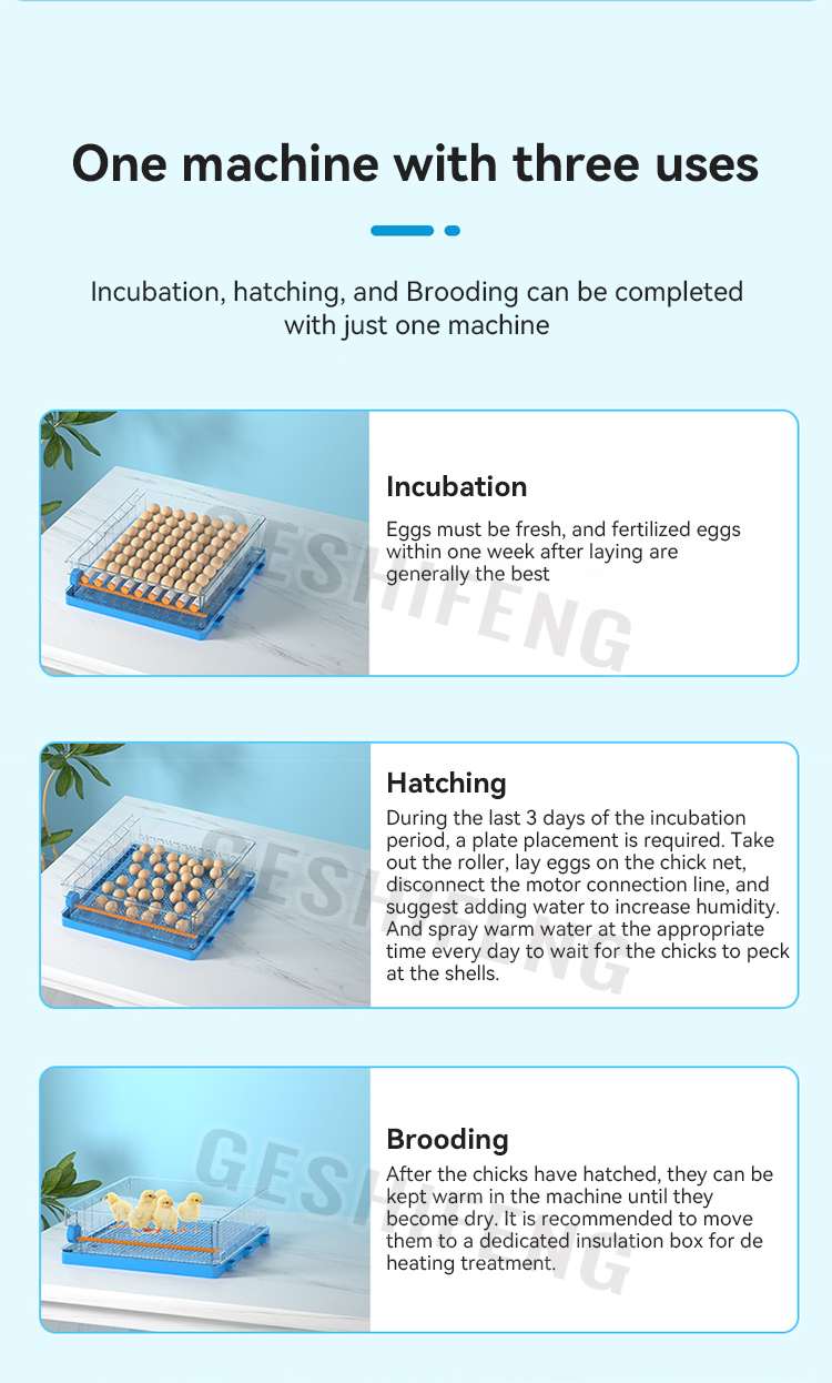 Egg Incubator(孵蛋器)