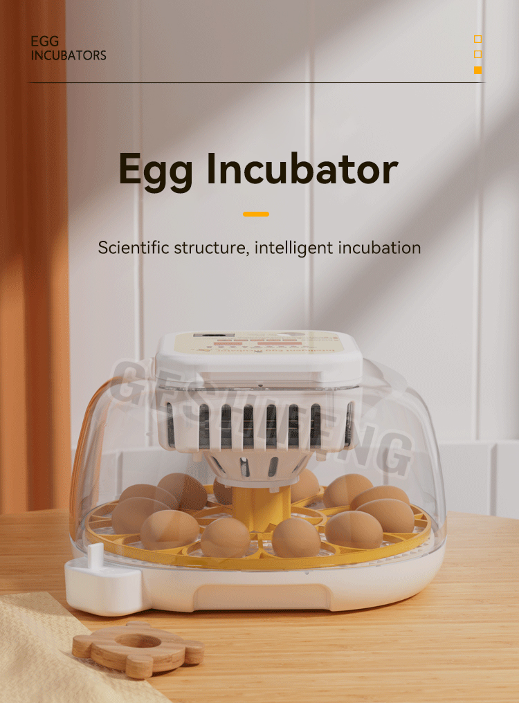 Egg Incubator(孵蛋器)