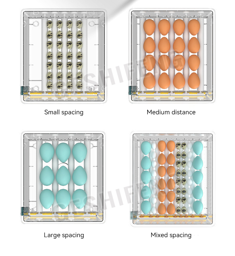 Egg Incubator(孵蛋器)