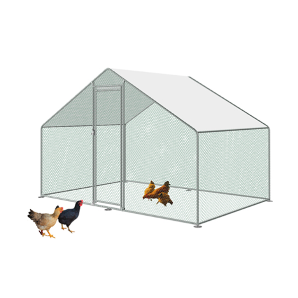 Product 5