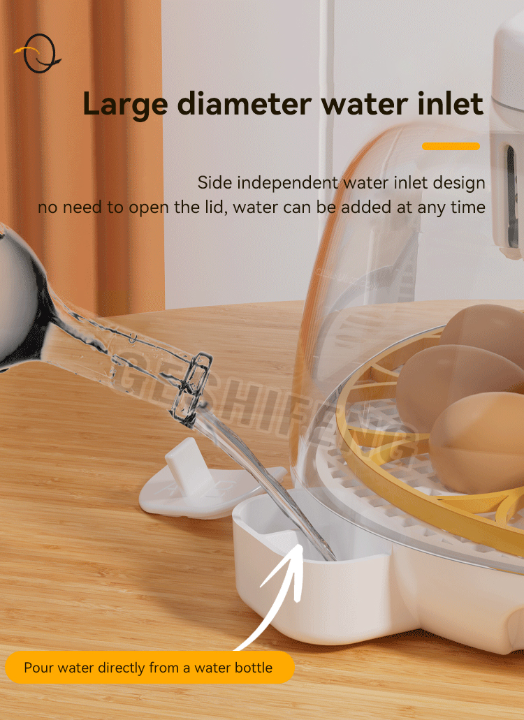 Egg Incubator(孵蛋器)