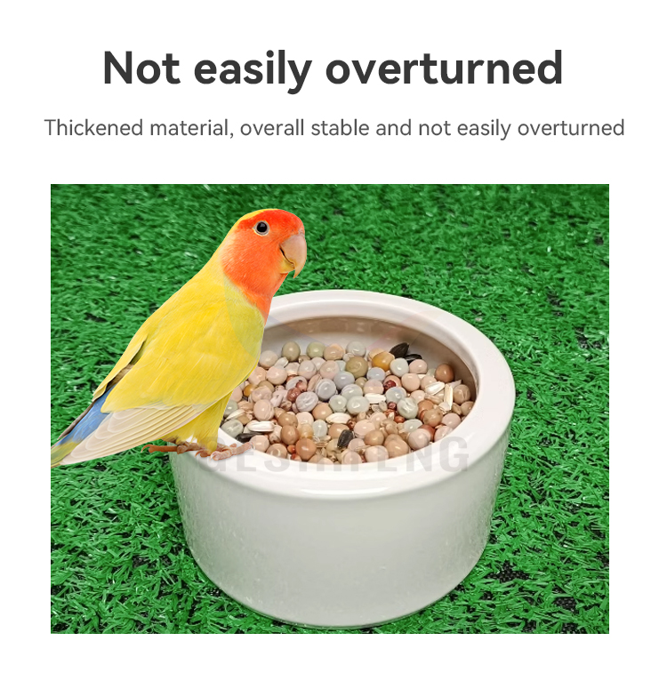 Ceramic bird feeding bowl(陶瓷碗)