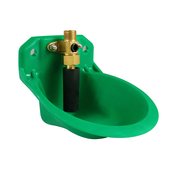 Product 5