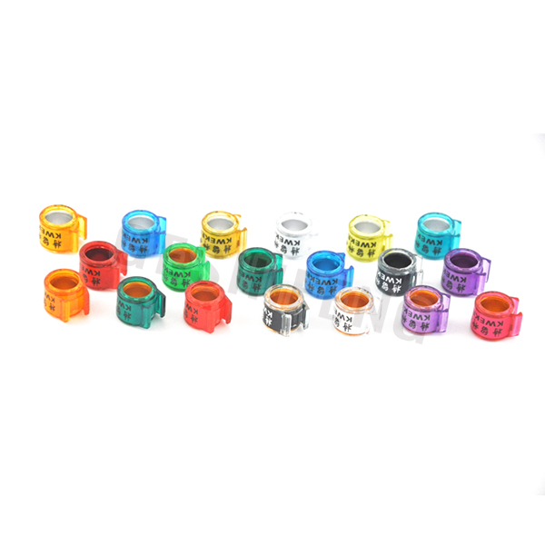 Combination Ring(荷兰环）