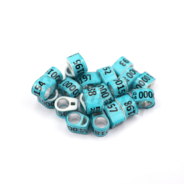 Combination Ring(比利时环)