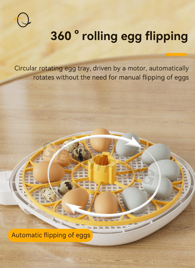 Egg Incubator(孵蛋器)