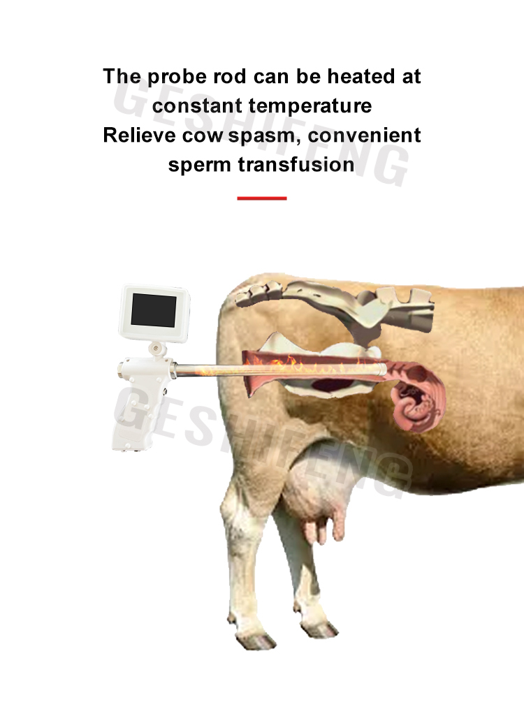 Artificial insemination gun for cattle(牛用人工授精枪)
