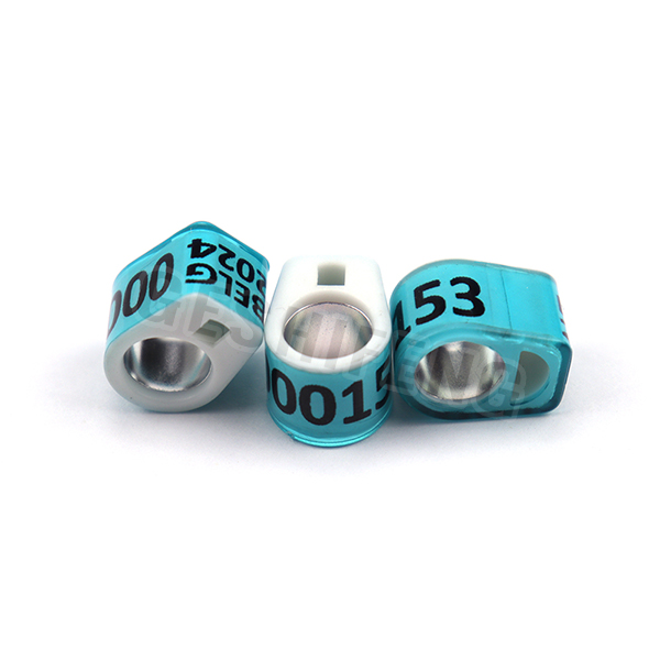 Combination Ring(比利时环)