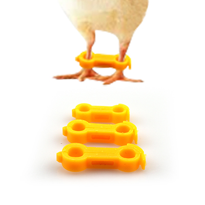 Product 5
