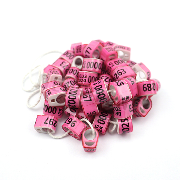 Combination Ring(比利时环)