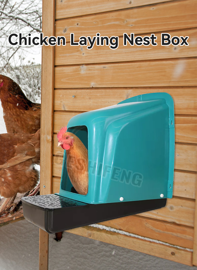Egg box(新款鸡窝)
