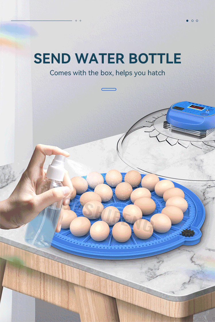 Egg Incubator(小飞碟孵蛋器)