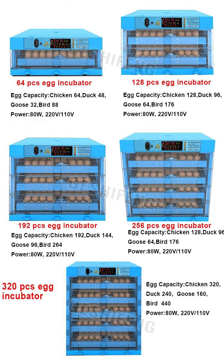 Egg Incubators(孵蛋器)