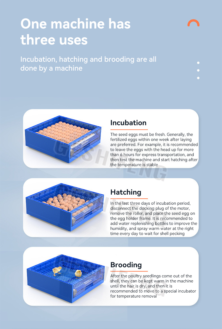 Egg Incubators(孵蛋器)