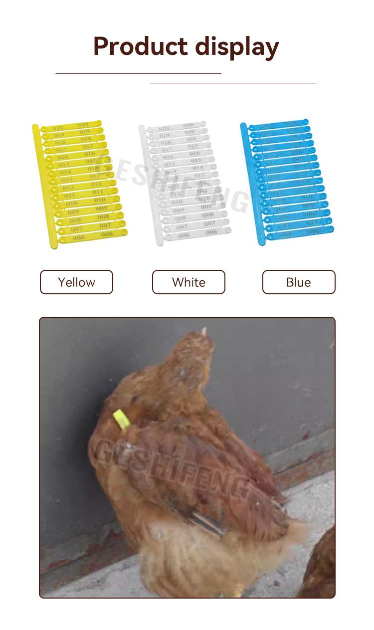 Chicken wing tag(鸟翅号)